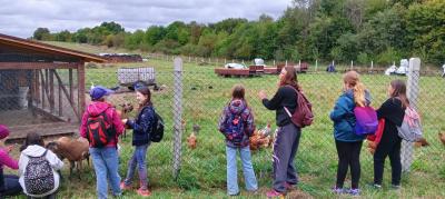 Adaptační vycházka VI. C