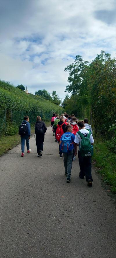 Adaptační vycházka v okolí Boskovic