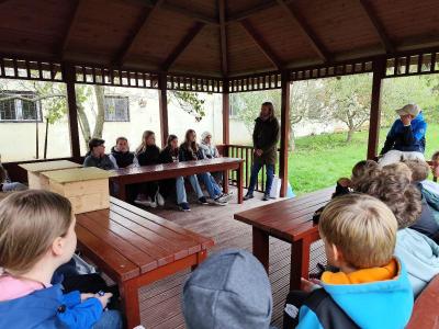 Ježkovníky v Boskovicích
