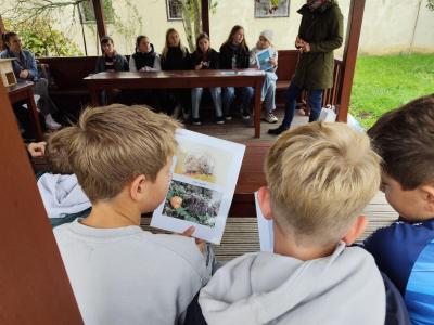 Ježkovníky v Boskovicích