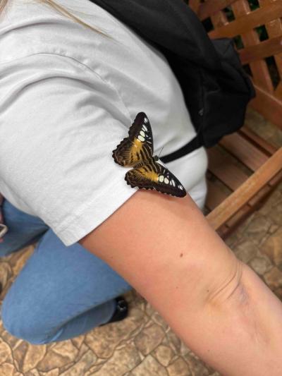 Výlet školní družiny