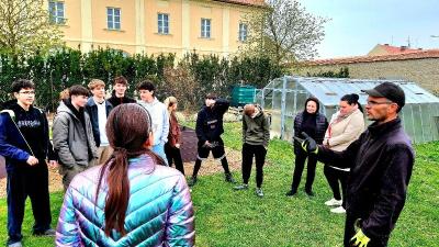Péče o ovocné stromy v praxi